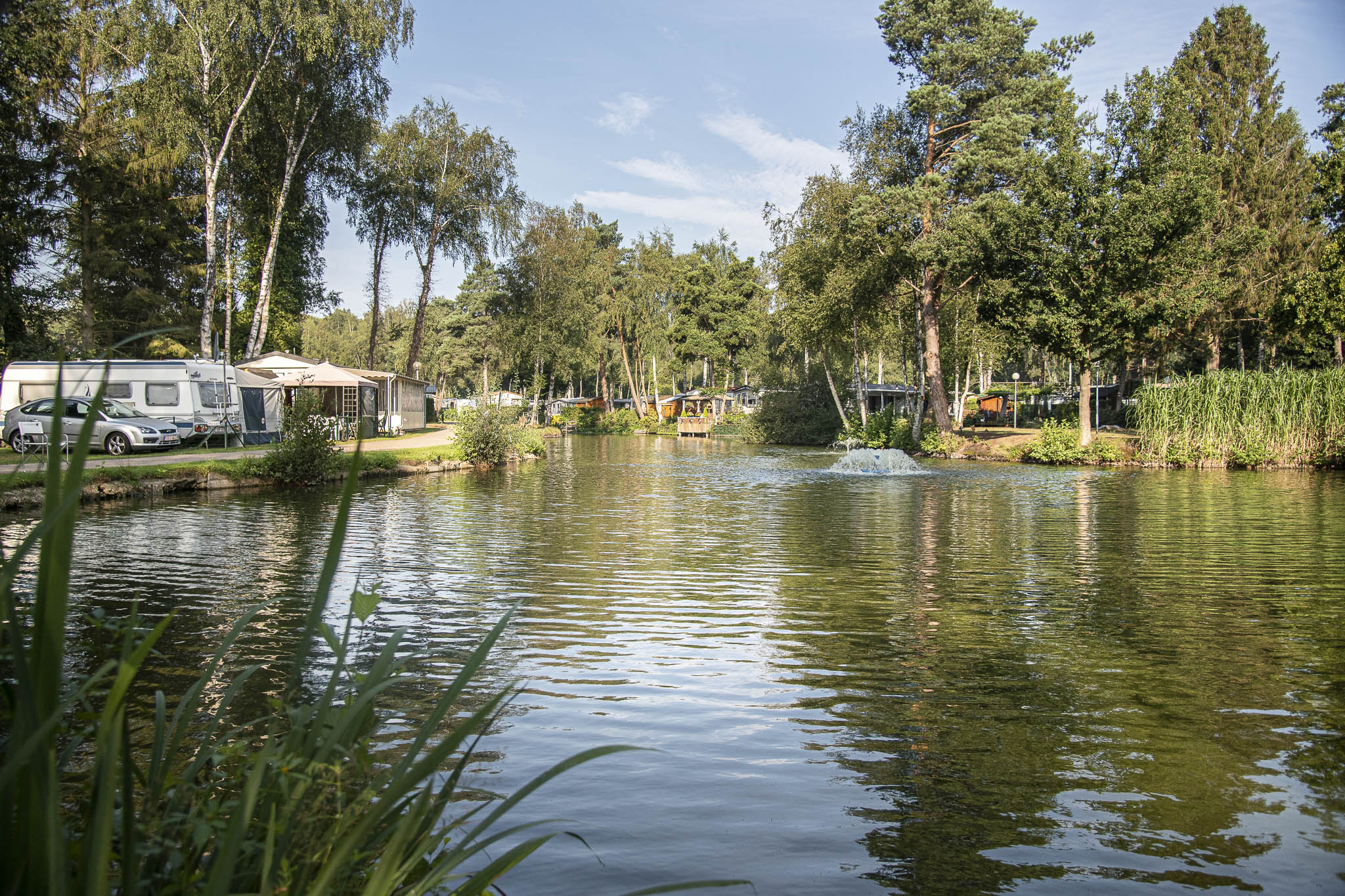 vijver met bomen en caravannen langs de oever