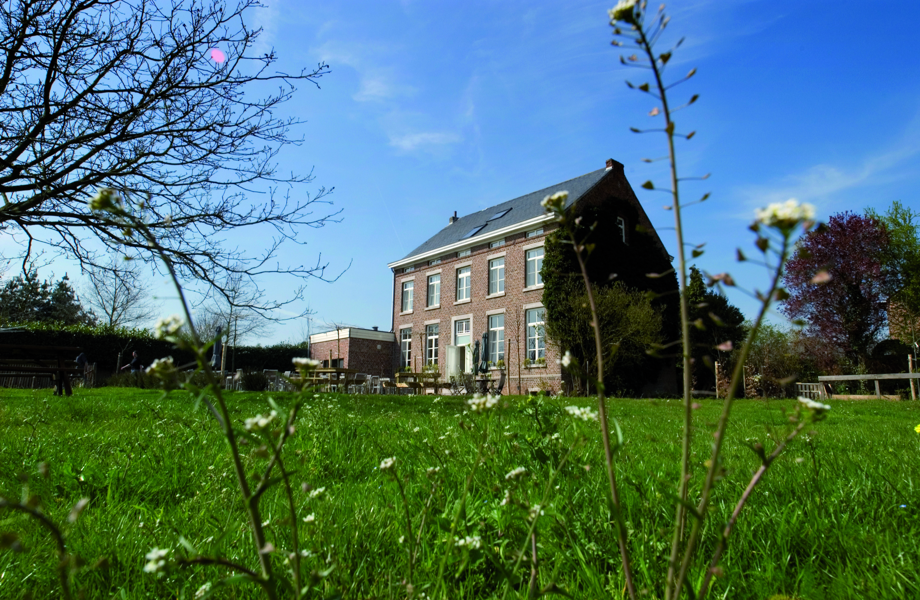 foto van gebouw met grasplein voor