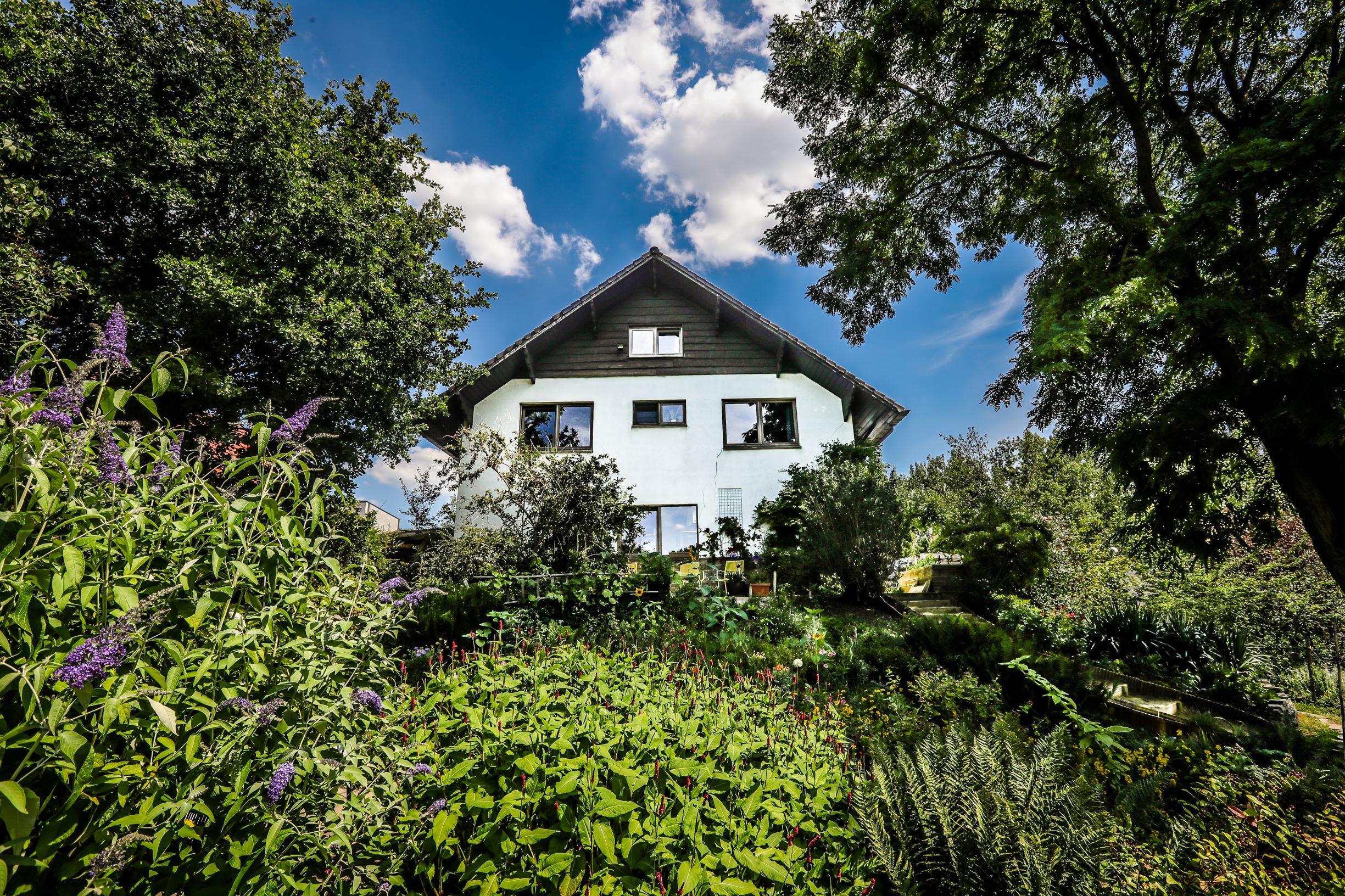 huis met witte gevel, omgeven door bomen en struiken